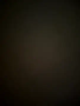 SienaWild online show from 11, 1, 2026