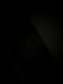 SienaWild online show from 20, 12, 2025