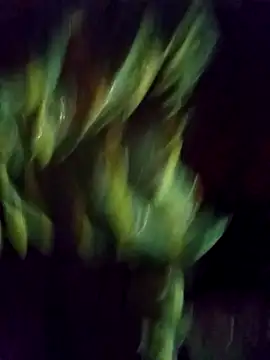 Saloni-Gupta online show from 22, 9, 2025