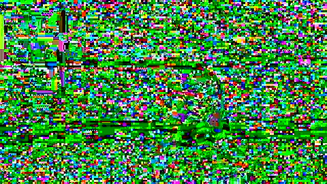 rosebratcat   online show from 26, 11, 2025