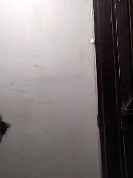 Cachorrinha2025 online show from 9, 11, 2025