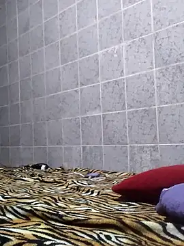 Cachorrinha2025 online show from 12, 11, 2025