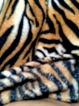 Cachorrinha2025 online show from 15, 10, 2025