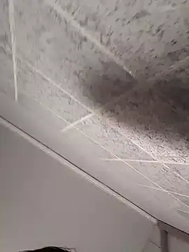 Cachorrinha2025 online show from 12, 10, 2025