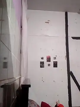 Cachorrinha2025 online show from 14, 10, 2025