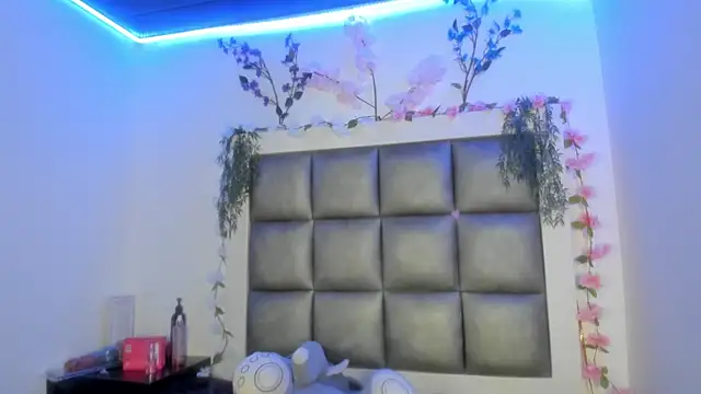 Snapshot of abbiecollins_js chatting on 25, 6, 2026 abbiecollins js online show from 25, 6, 2026