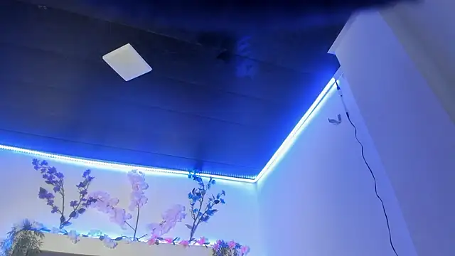 abbiecollins js online show from 25, 3, 2026