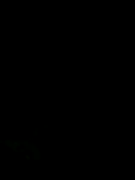 panganamno online show from 25, 11, 2025