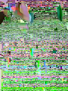 LenaZii online show from 7, 2, 2026