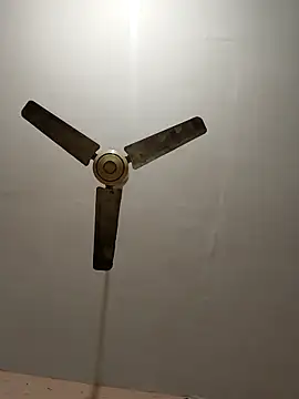 monarani5986 online show from 31, 1, 2026