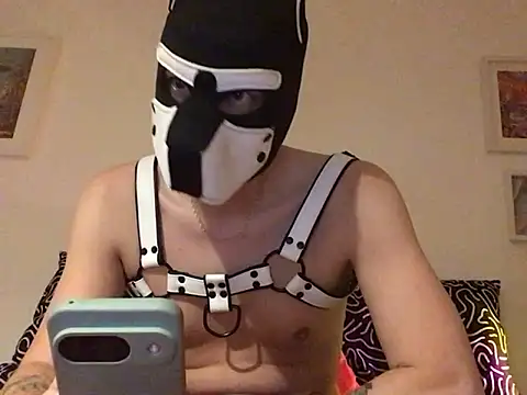 cruiserpup online show from 5, 10, 2025