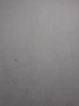 Snapshot of sweet_bella16 chatting on 2, 11, 2025 sweet bella16 online show from 2, 11, 2025