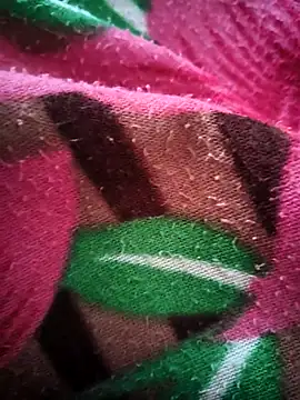 bold guy 1234 online show from 15, 10, 2025