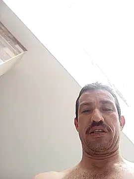 zamir adam online show from 6, 11, 2025