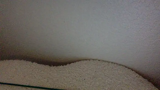 Texxaspearl online show from 31, 3, 2026