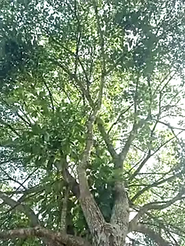 Bottz777 online show from 12, 11, 2025