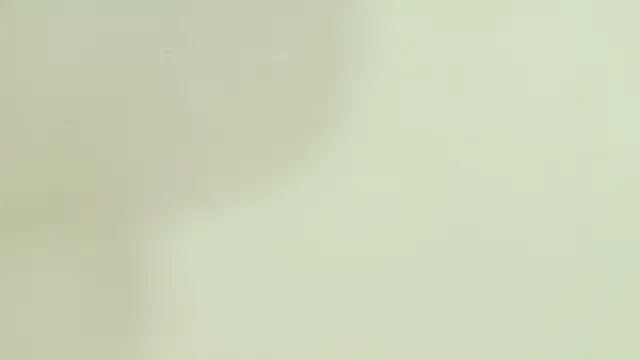 paulina cano online show from 1, 3, 2026