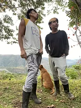 sky-wolves online show from 1, 10, 2025