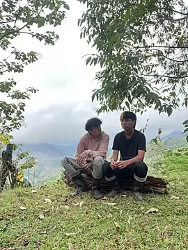 sky-wolves online show from 3, 10, 2025