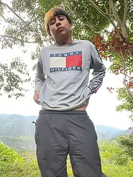 sky-wolves online show from 19, 11, 2025