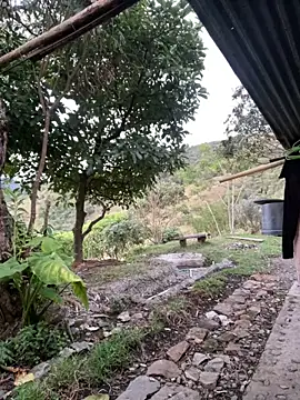 sky-wolves online show from 2, 10, 2025