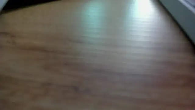 Biscuit oliva online show from 28, 9, 2025