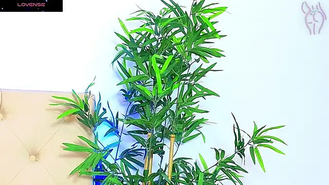 CoraVex online show from 16, 9, 2025