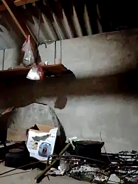 donna-bae online show from 12, 4, 2026