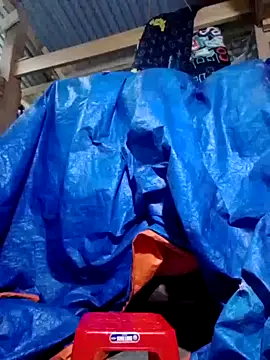 donna-bae online show from 6, 10, 2025