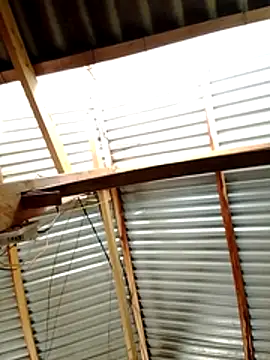 donna-bae online show from 19, 3, 2026