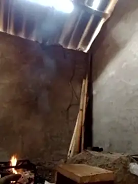 donna-bae online show from 13, 3, 2026