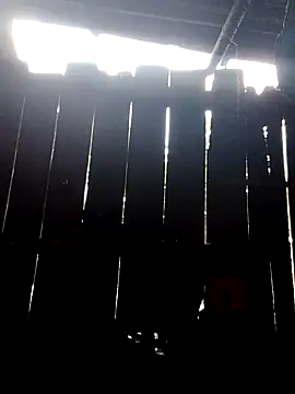 donna-bae online show from 10, 10, 2025