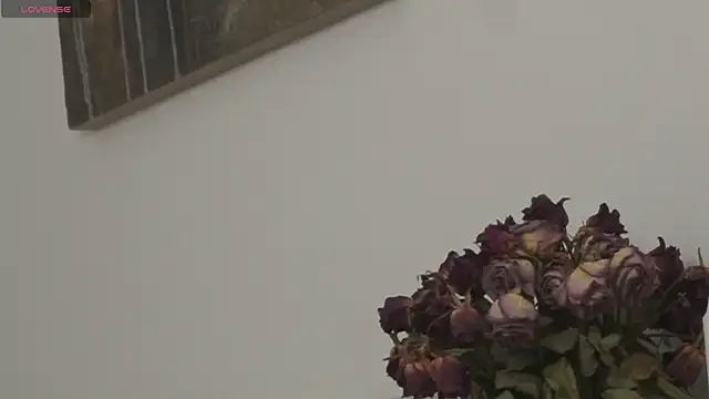 adisson fox online show from 21, 12, 2025