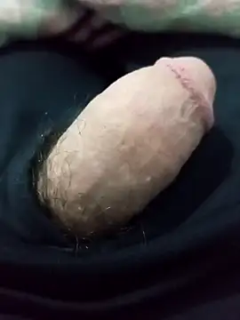 ncdz5802102z online show from 5, 4, 2026