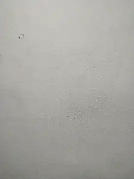 ms-naina online show from 7, 4, 2026