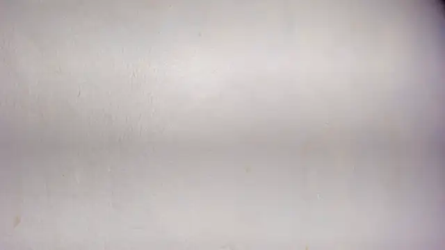 Snapshot of Dakota_x18 chatting on 28, 11, 2025 Dakota x18 online show from 28, 11, 2025