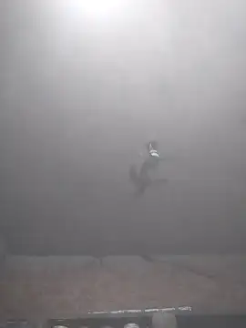 Hott cutgirl online show from 15, 11, 2025