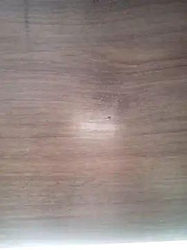 ValeriaLove43211 online show from 31, 3, 2026