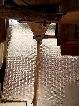 callistra online show from 30, 10, 2025