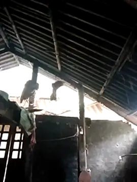 Biu xx online show from 20, 12, 2025