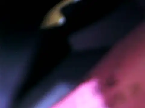 DailyRoadma online show from 15, 2, 2026