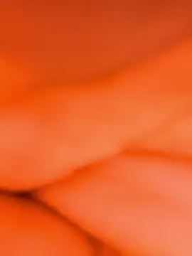 sassyishhu76 online show from 14, 1, 2026