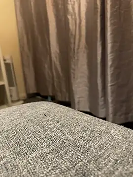 queenwetness online show from 17, 9, 2025