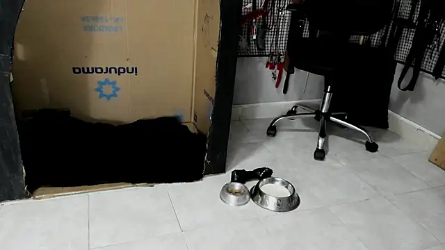 BDSM MEDUZA online show from 23, 2, 2026