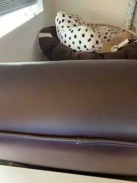 sw33th3art online show from 5, 1, 2026