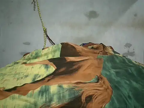 Snapshot of Alcee490 chatting on 23, 10, 2025 Alcee490 online show from 23, 10, 2025