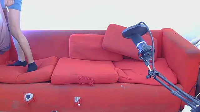 P4NT0J4 online show from 5, 3, 2026