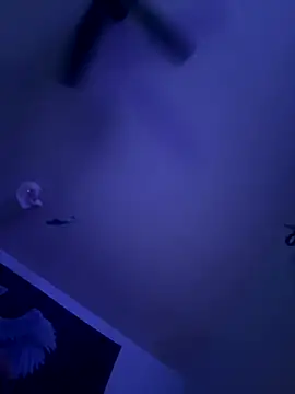 LeeDank online show from 29, 9, 2025