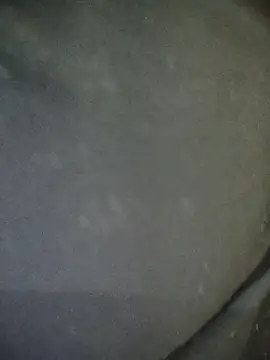 Disha- 00 online show from 23, 12, 2025