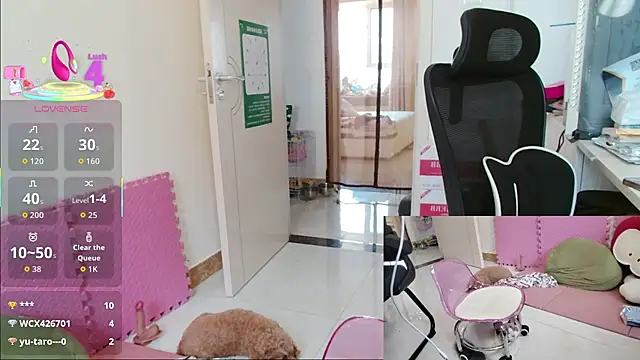sallycui online show from 20, 7, 2026